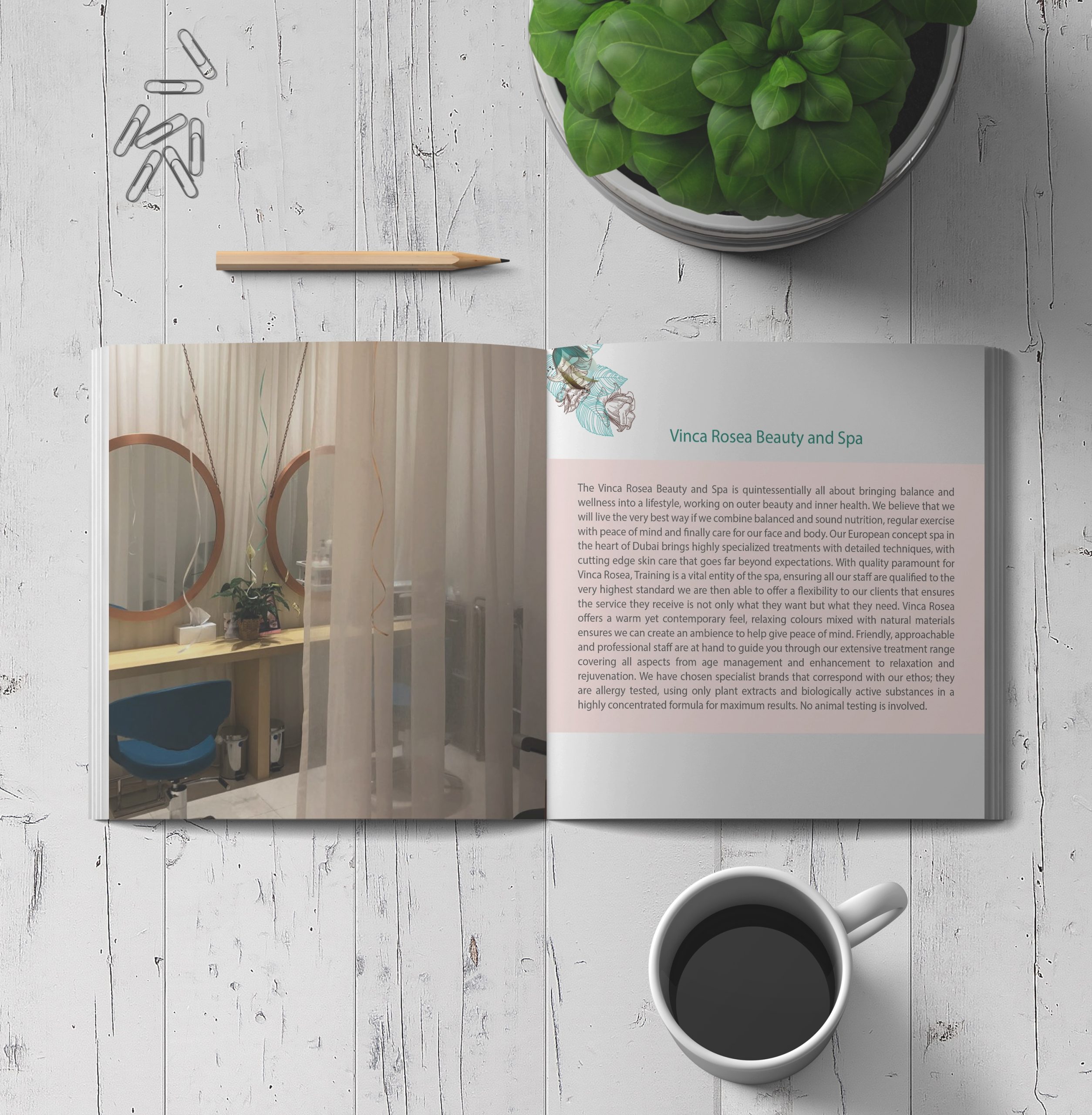 Vinca Rosea Profile Design